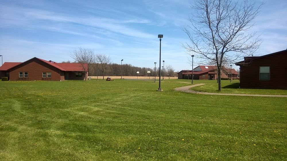 Someone mowing a lawn 4